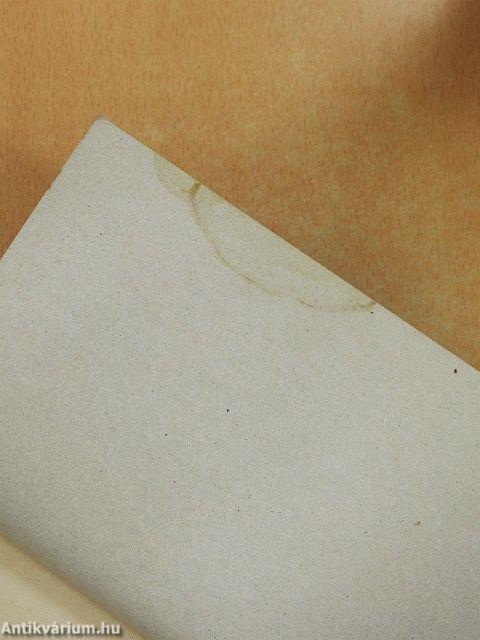 Érettségi magyar nyelvből