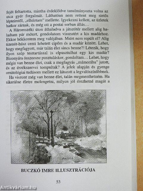 Kláris antológia '13