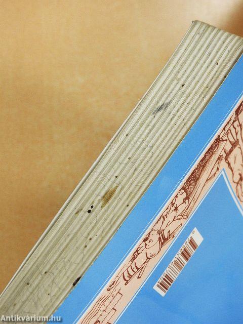 Irodalom a tizennégy éves diákoknak