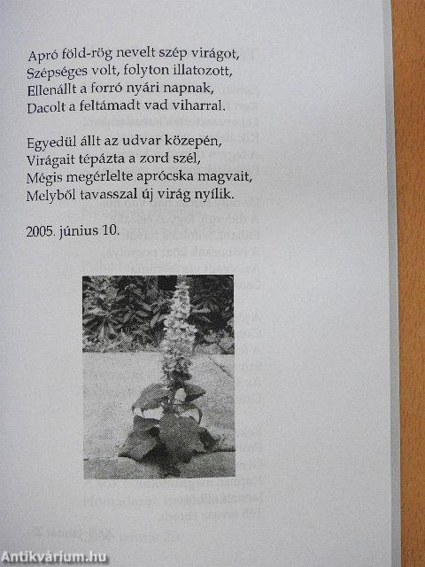 Csillagfényben