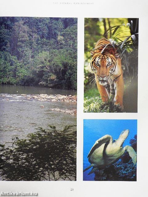 Portrait of Kuala Lumpur