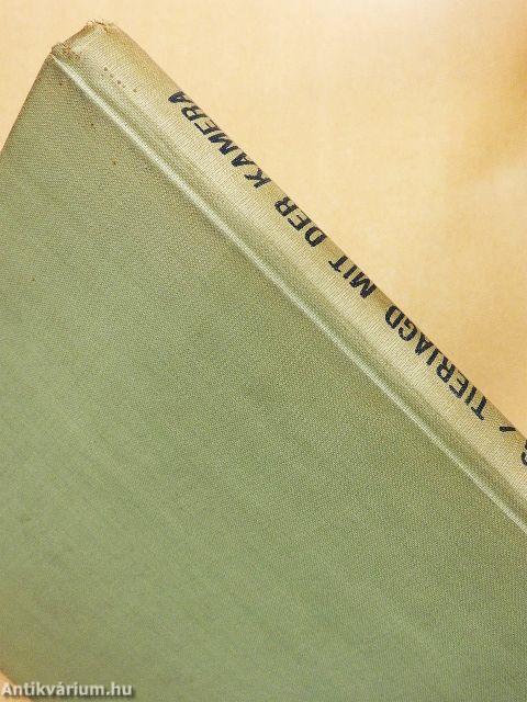 Tierjagd mit der Kamera