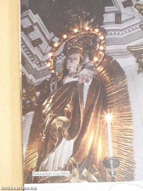 Szövetség az életért