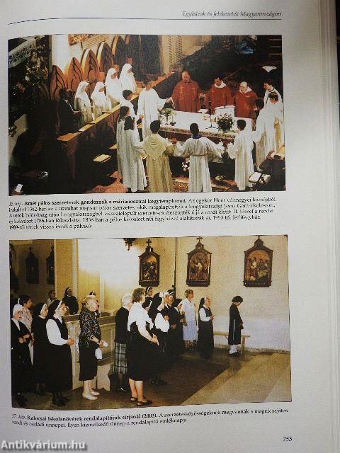 Magyar tudománytár 4.