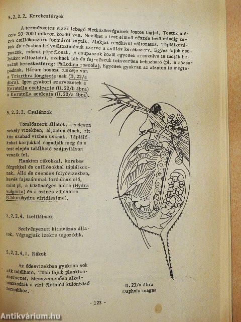 Vízellátás és csatornázás kémiája és biológiája