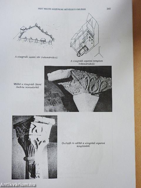 Pest Megye Monográfiája I/2.