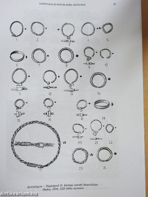 Pest Megye Monográfiája I/2.