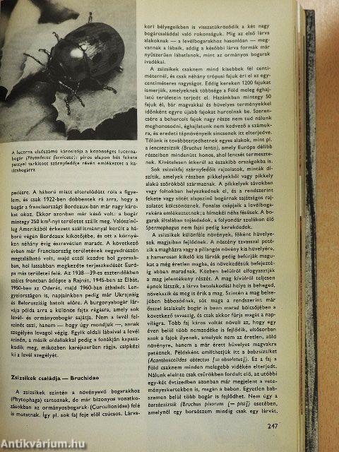 Urania Állatvilág - Rovarok