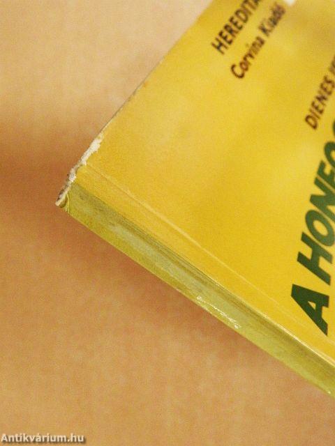 A honfoglaló magyarok