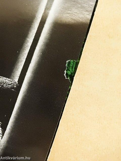 A honfoglaló magyarok