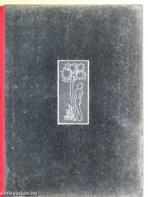 Művészet és szépség