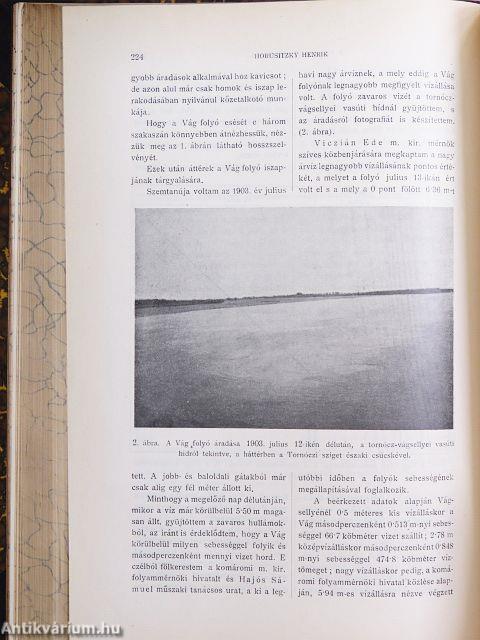 Természettudományi Közlöny 1905. január-december