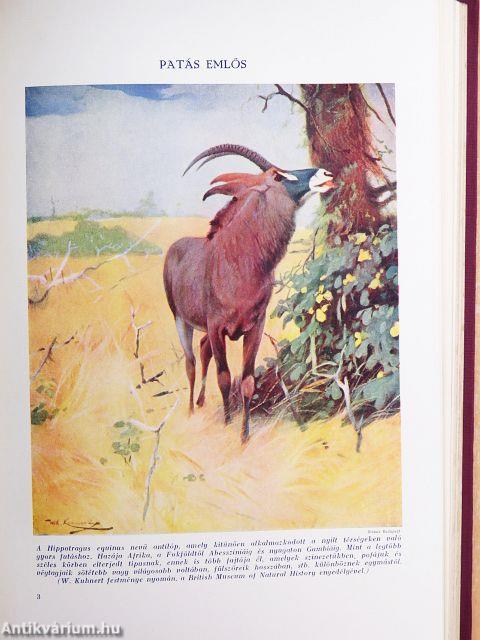 Az élet csodái I-III.