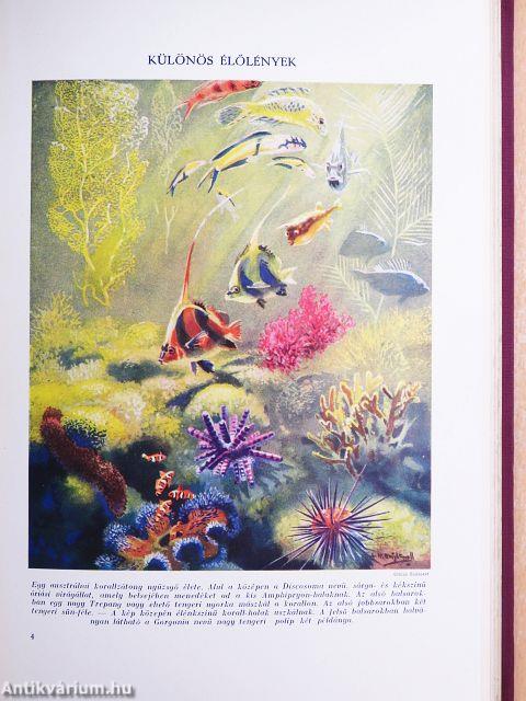 Az élet csodái I-III.