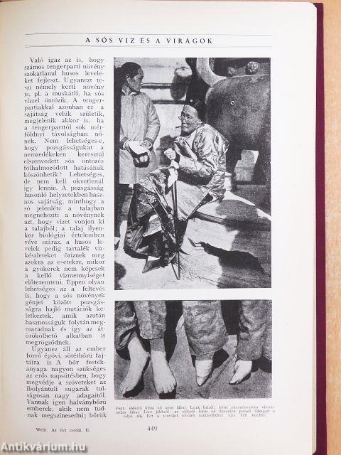 Az élet csodái I-III.