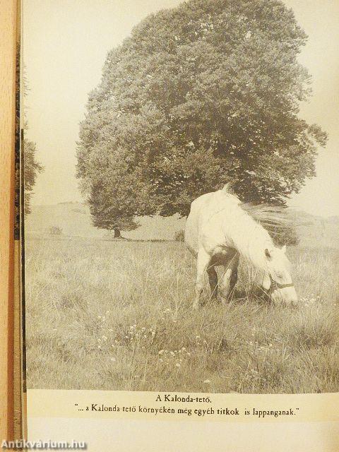 Erdélyi történetek