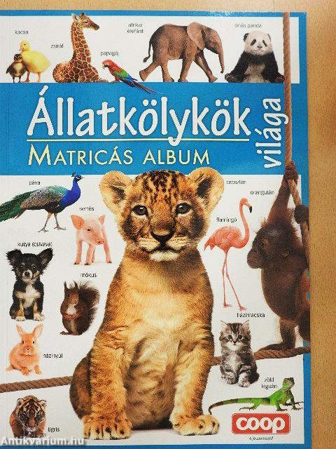 Állatkölykök világa