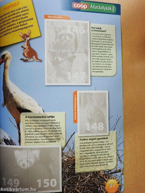 Állatkölykök világa