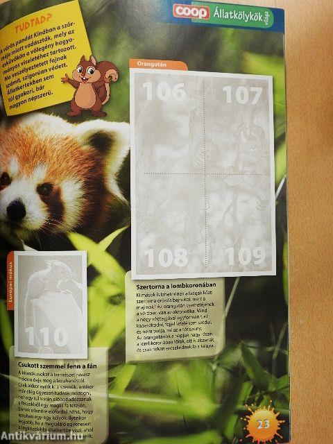 Állatkölykök világa