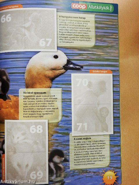 Állatkölykök világa