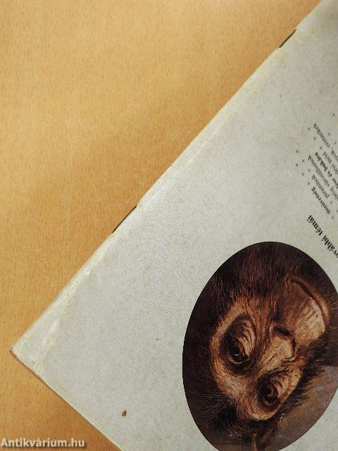 Az emberiség kezdetei