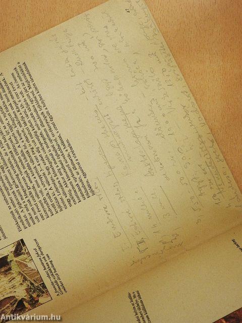 Az emberiség kezdetei