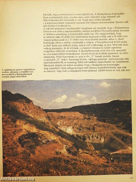 Az emberiség kezdetei