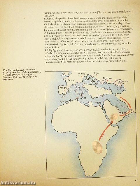 Az emberiség kezdetei