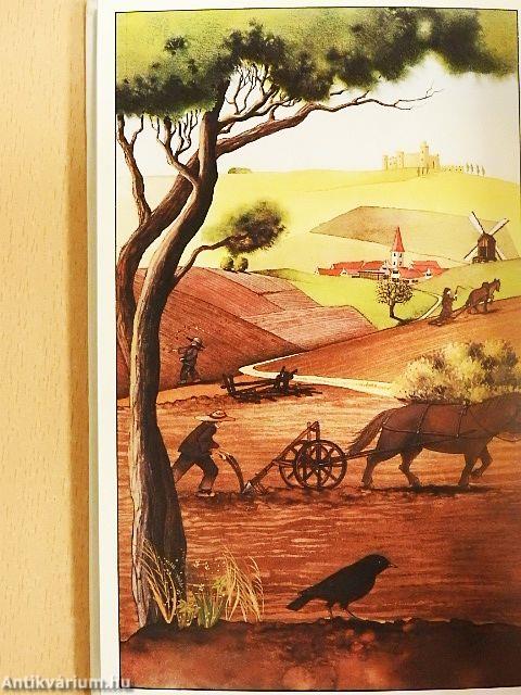 Mindennapi táplálékunk, a kenyér