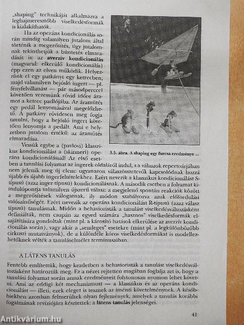 A pszichológia alapjai