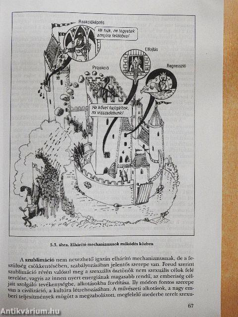 A pszichológia alapjai