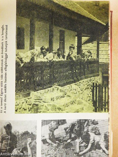 Óvodai nevelés 1979-1980. január-december