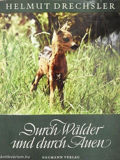 Durch Wälder und durch Auen...