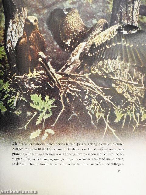 Durch Wälder und durch Auen...