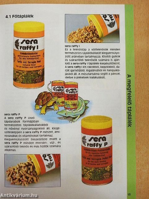 Teknősök és más hüllők helyes etetése és ápolása