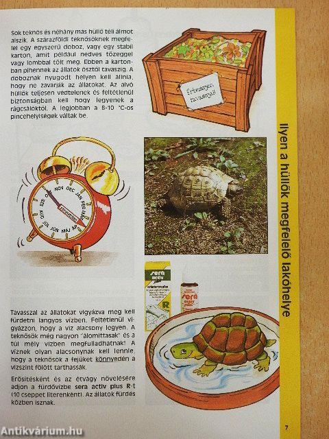 Teknősök és más hüllők helyes etetése és ápolása