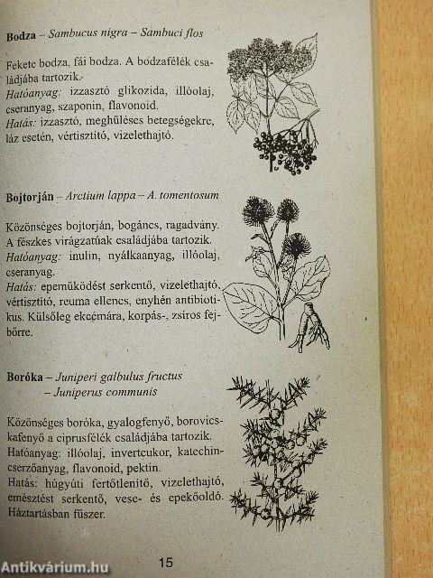 Gyógynövények és gyógyteák