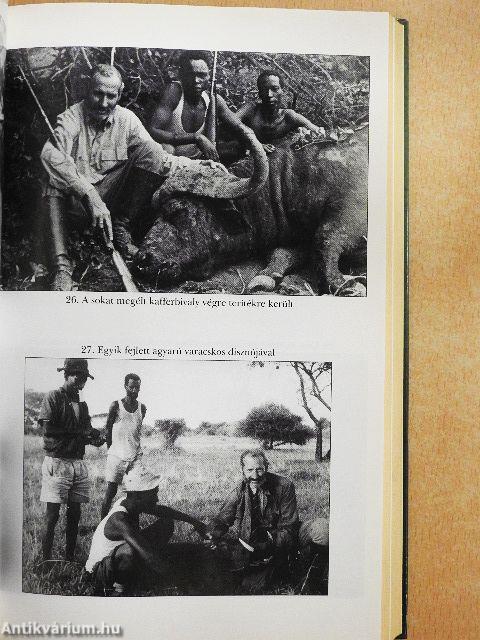 Puskák-pajzsok-fohászok