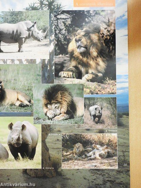 Barangolás az állatvilágban