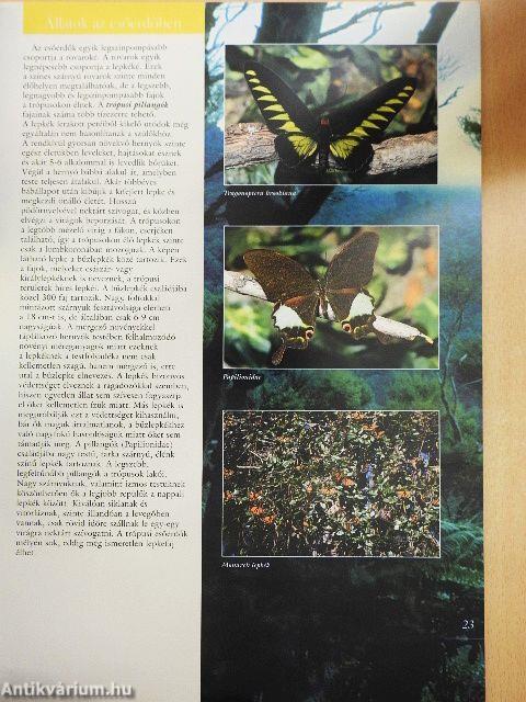 Barangolás az állatvilágban