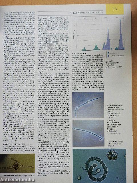 Pannon Enciklopédia - Magyarország növényvilága