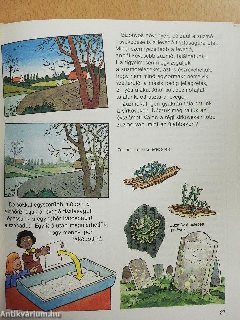 A levegő