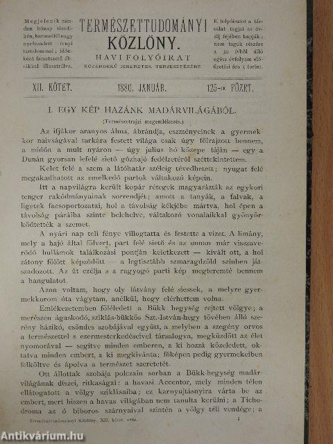 Természettudományi Közlöny 1880. (nem teljes évfolyam)