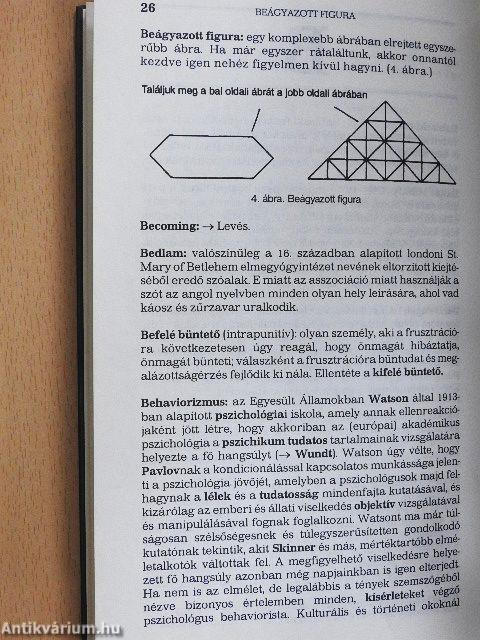 Pszichológiai kisenciklopédia