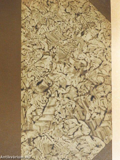 Mélytengerek világa