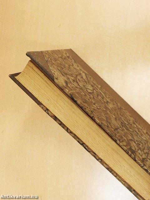 Mélytengerek világa