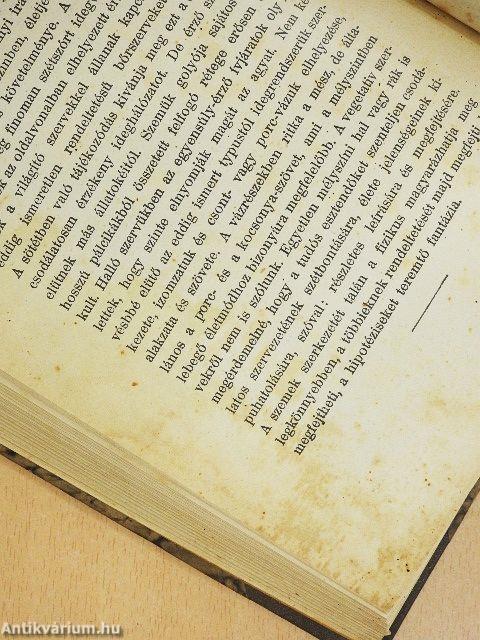 Mélytengerek világa