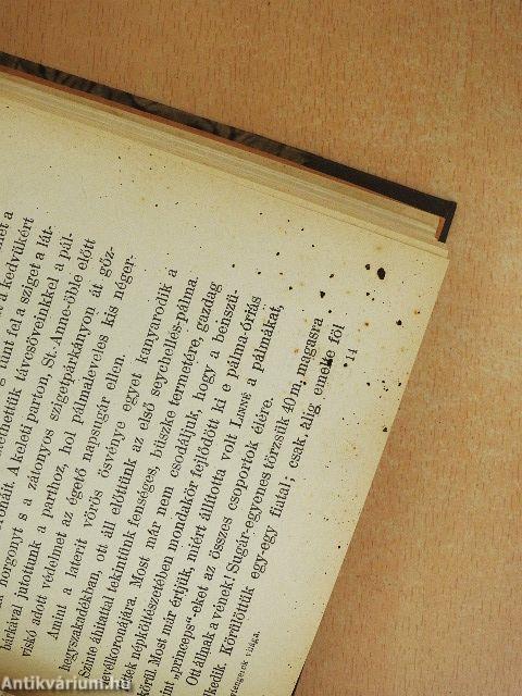 Mélytengerek világa