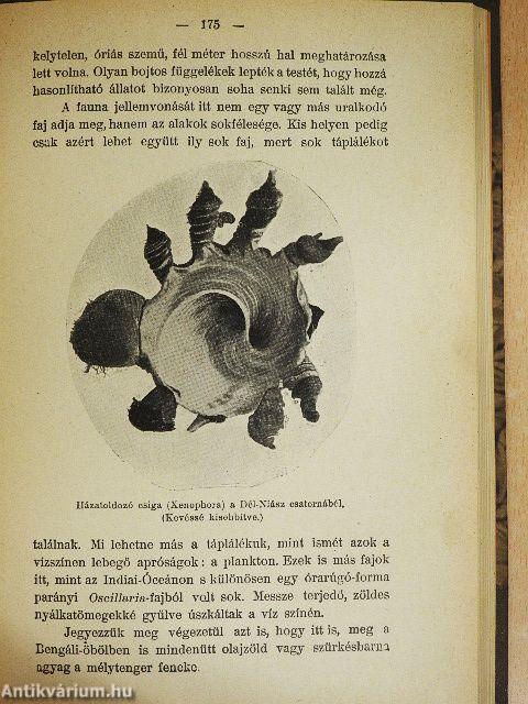 Mélytengerek világa