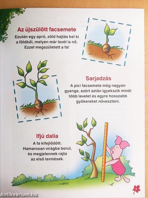 Fák